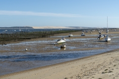 Le Pila vu du Cap Ferret