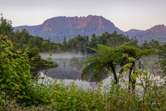 Le Piton des Neiges vu de la Mare à Martin