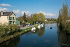 La Somme vue de la passerelle "l'Hortillonne"