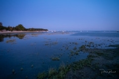 DSC0659