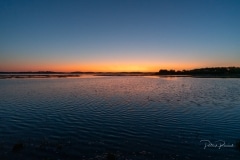 DSC0663