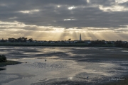 _DSC9108