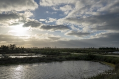 _DSC9055