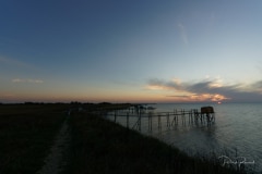 Coucher-Carrelets-10-10-12