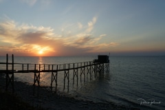 Coucher-Carrelets-10-10-3