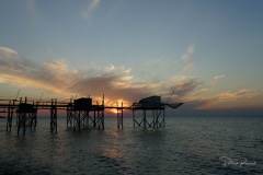 Coucher-Carrelets-10-10-7