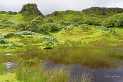 Ecosse-10