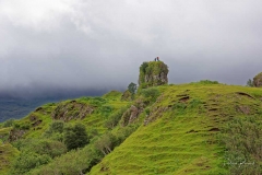 Ecosse-8
