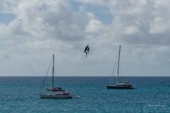 Pélican en chute libre