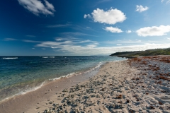 Plage à tortues à Marie Galante