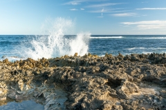 prévoir des protections pour les pieds fragiles