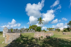 Les murs de la sucrerie (Murat)