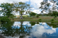 l'habitation Murat, ancienne plus grosse plantation de canne de la Guadeloupe transformée en écomusée
