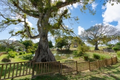 La Mare de l'habitation Murat