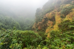 Relief torturé mais végétation et humidité abondantes