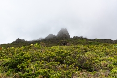 Le sommet est à quelques dixaines de mètres, mais jamais le nuage ne le lachera aujourd'hui