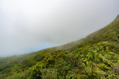 Les personnes sur le sentier donnent une idée de l'échelle et de la pente