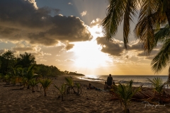Coucher de soleil avec palmiers
