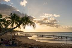 Coucher de soleil sur la plage avec palmiers penchés