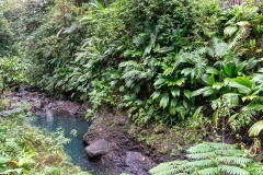 Le lit de la rivière Carbet