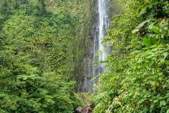 La deuxième chute du Carbet