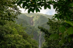 Cette montagne qui retient les nuages rend leur eau de façon abondante