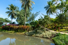 Au jardin de Valombreuse, Petit Bourg
