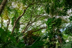 Parc Floral de Cantamerle - Jardin des épices