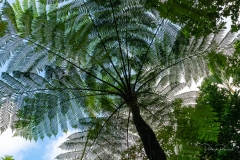 Parc Floral de Cantamerle - Jardin des épices