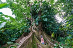 Parc Floral de Cantamerle - Jardin des épices