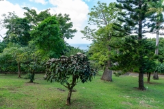 Jardin Botanique de Deshaies