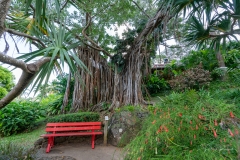 Jardin Botanique de Deshaies