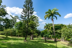 Jardin Botanique de Deshaies
