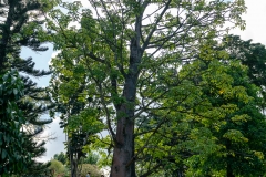 Jardin Botanique de Deshaies