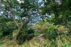 Jardin Botanique de Deshaies