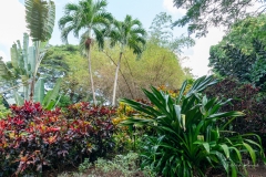 Jardin Botanique de Deshaies