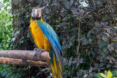 Jardin Botanique de Deshaies
