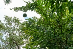Jardin Botanique de Deshaies