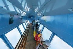 Tout le monde observe le côté tribord. Ne pas oubler Babord de temps en temps