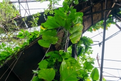 Usine Désaffectée de Grosse Montagne