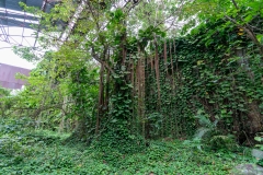 Usine Désaffectée de Grosse Montagne