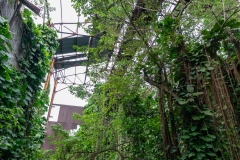 Usine Désaffectée de Grosse Montagne