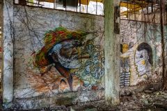 Usine Désaffectée de Grosse Montagne