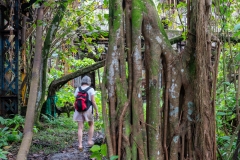Usine Désaffectée de Grosse Montagne