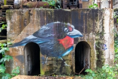 Usine Désaffectée de Grosse Montagne