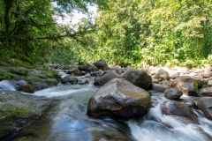 Cascade aux Ecrevisses