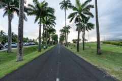 Promenade du soir sur l'allée Dumanoir