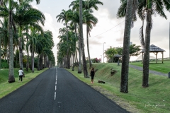 Promenade du soir sur l'allée Dumanoir
