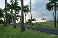 Fin de journée sur l'allée Dumanoir