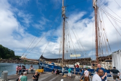 Gallant dans le port de Deshaies
